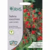 RHS Salvia Coccinea Lady In Red -Elise Bloom 12884803 4154870986320721