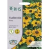 RHS Rudbeckia Toto -Elise Bloom 12884806 1034843469797335