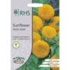 RHS Sunflower Teddy Bear -Elise Bloom 12884808 2114843469926740