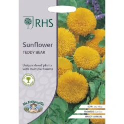 RHS Sunflower Teddy Bear