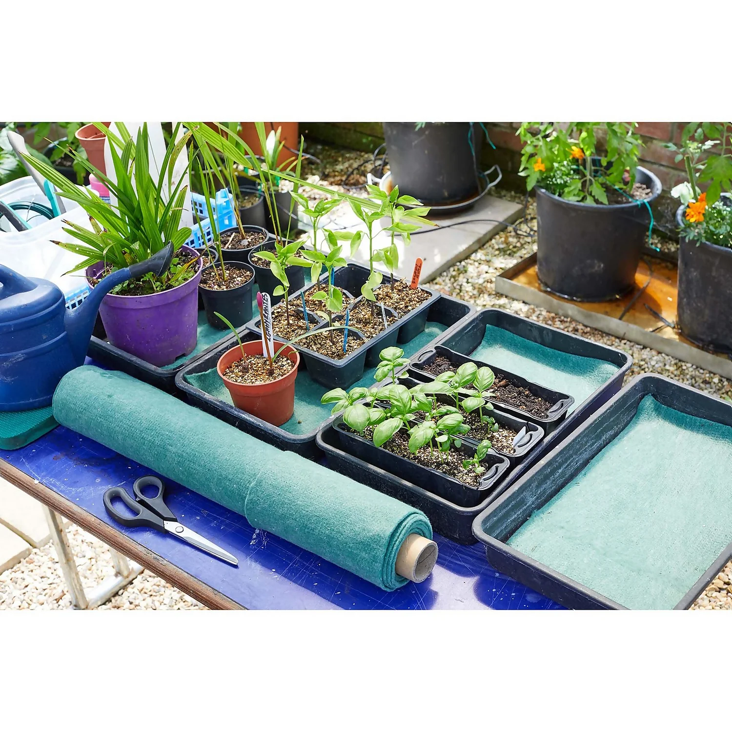 Plant Moisture Mat - 2.4m X 0.6m 4 Plant Moisture Mat - 2.4m X 0.6m - Image 2