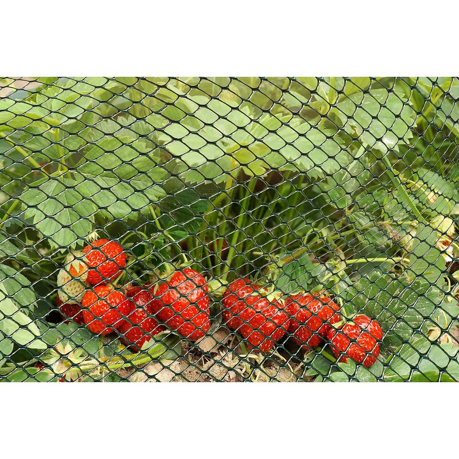 15mm Green Multi-Mesh - 5m X 0.5m 4 15mm Green Multi-Mesh - 5m X 0.5m - Image 2