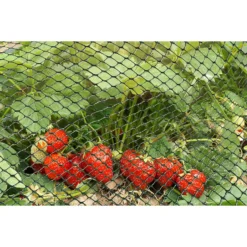 15mm Green Multi-Mesh - 5m X 1m -Elise Bloom 12885594 1994856729988195