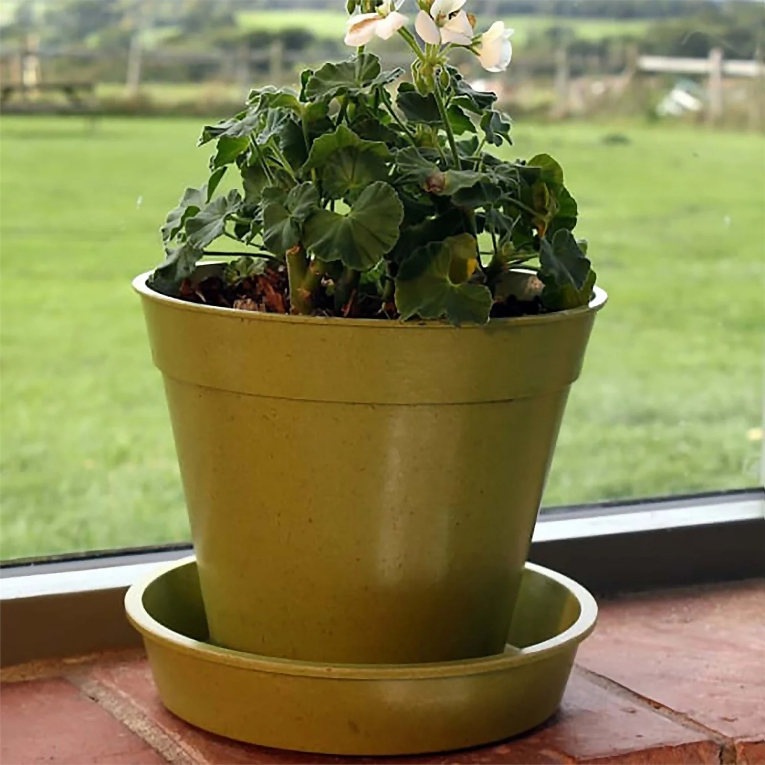 8in Bamboo Pot Single Sage Green 4 8in Bamboo Pot Single Sage Green - Image 2