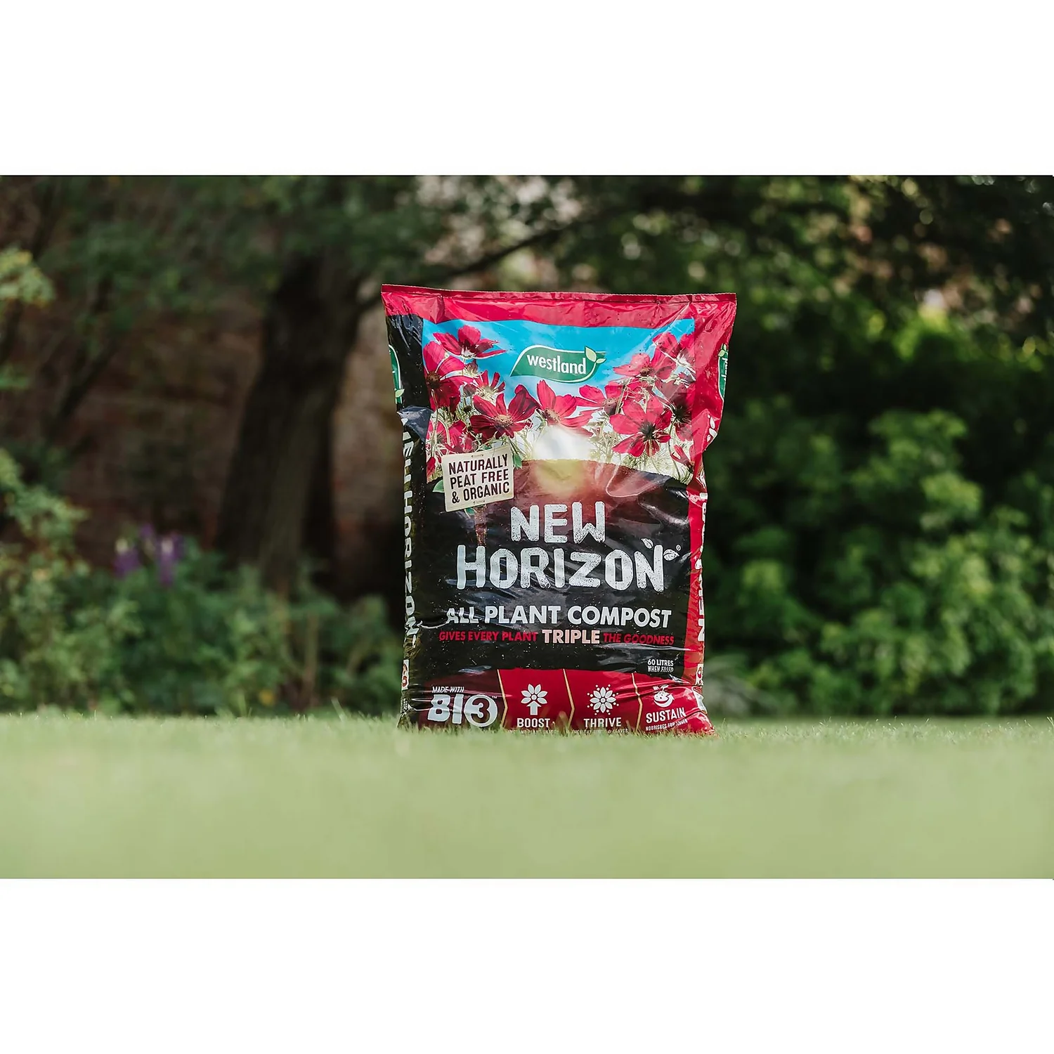 New Horizon Peat Free All Plant Compost - 50L 5 New Horizon Peat Free All Plant Compost - 50L - Image 3