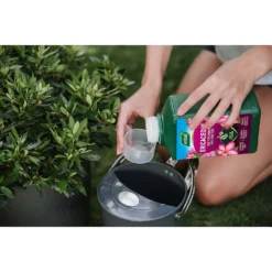 Westland Ericaceous Specialist Feed - 1l 12 Westland Ericaceous Specialist Feed - 1l -Elise Bloom 12886482 2014971590635353