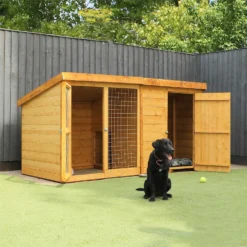 Mercia 8 X 4 Dog Kennel & Run - Including Installation -Elise Bloom 12888128 4804843294490154