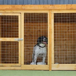 Mercia 10 X 4 Dog Kennel & Run (Installed) 15 Mercia 10 X 4 Dog Kennel & Run (Installed) -Elise Bloom 12888271 2014843293748533