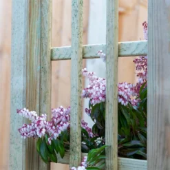 Mercia Curved Arch 9 Mercia Curved Arch -Elise Bloom 12888302 6134849860614286