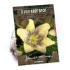 Asiatic Lily Easy Spot 2 Asiatic Lily Easy Spot -Elise Bloom 12889022 1565020401868059