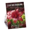 Lily Red Highland 2 Lily Red Highland -Elise Bloom 12889024 3485020401873354