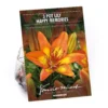 None Pot Lily Happy Memories Flower Bulbs 2 None Pot Lily Happy Memories Flower Bulbs -Elise Bloom 12889025 1365020584705630
