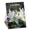 Oriental Lily Siberia 1 Oriental Lily Siberia -Elise Bloom 12889026 1885020584708318