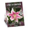 Tree Lily Anastasia 1 Tree Lily Anastasia -Elise Bloom 12889028 1815020402486137