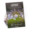 Agapanthus Silver Arrow -Elise Bloom 12889202 9635020401703833
