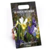 None Dutch Iris Mixed -Elise Bloom 12889216 3905022410495844