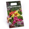 None Tigridias Pavonia Mixed -Elise Bloom 12889221 1295022410776122