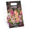 None Gladioli Nanus Mixed 1 None Gladioli Nanus Mixed -Elise Bloom 12889222 1015022410499204