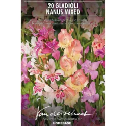 None Gladioli Nanus Mixed 6 None Gladioli Nanus Mixed -Elise Bloom 12889222 8845022410603286