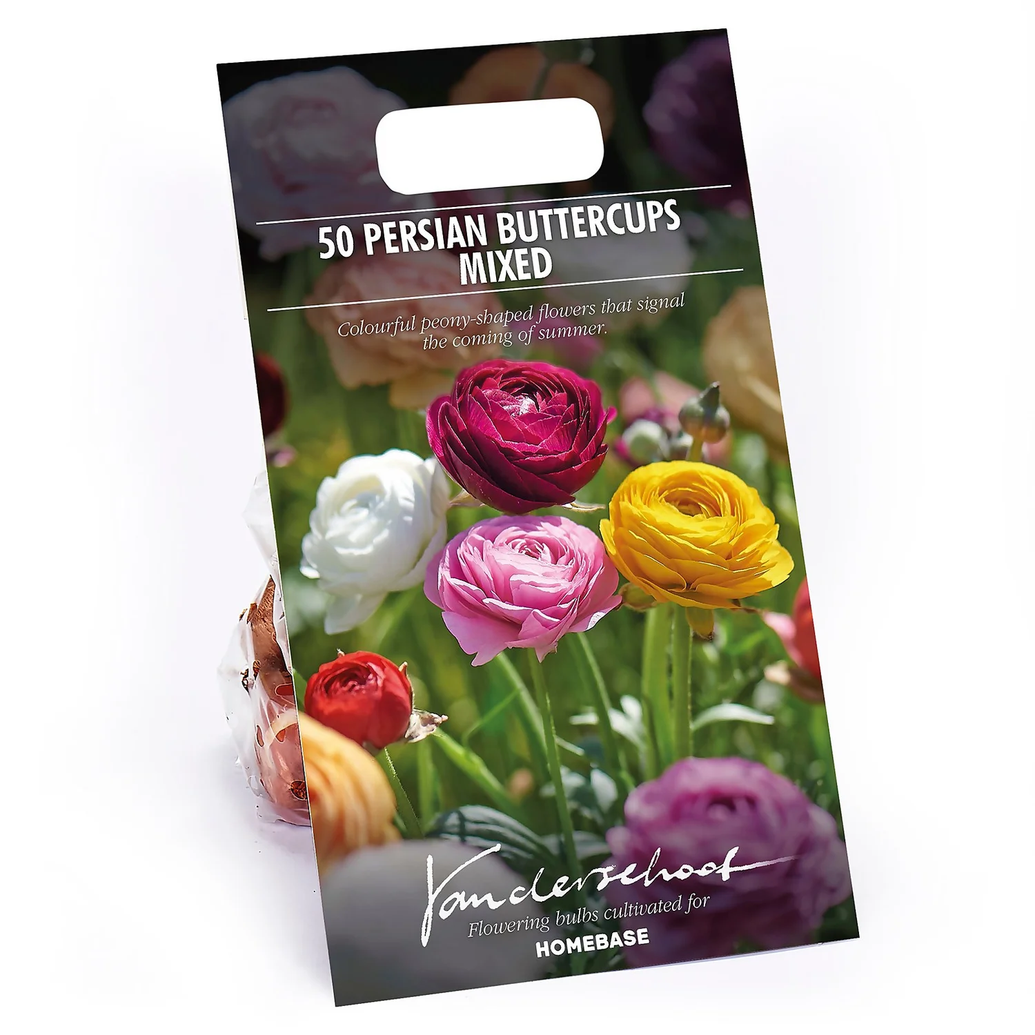 None Ranunculus Mixed 3 None Ranunculus Mixed