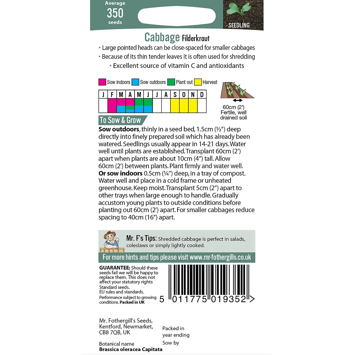 Mr. Fothergill's Cabbage Filderkraut Seeds 5 Mr. Fothergill's Cabbage Filderkraut Seeds - Image 3