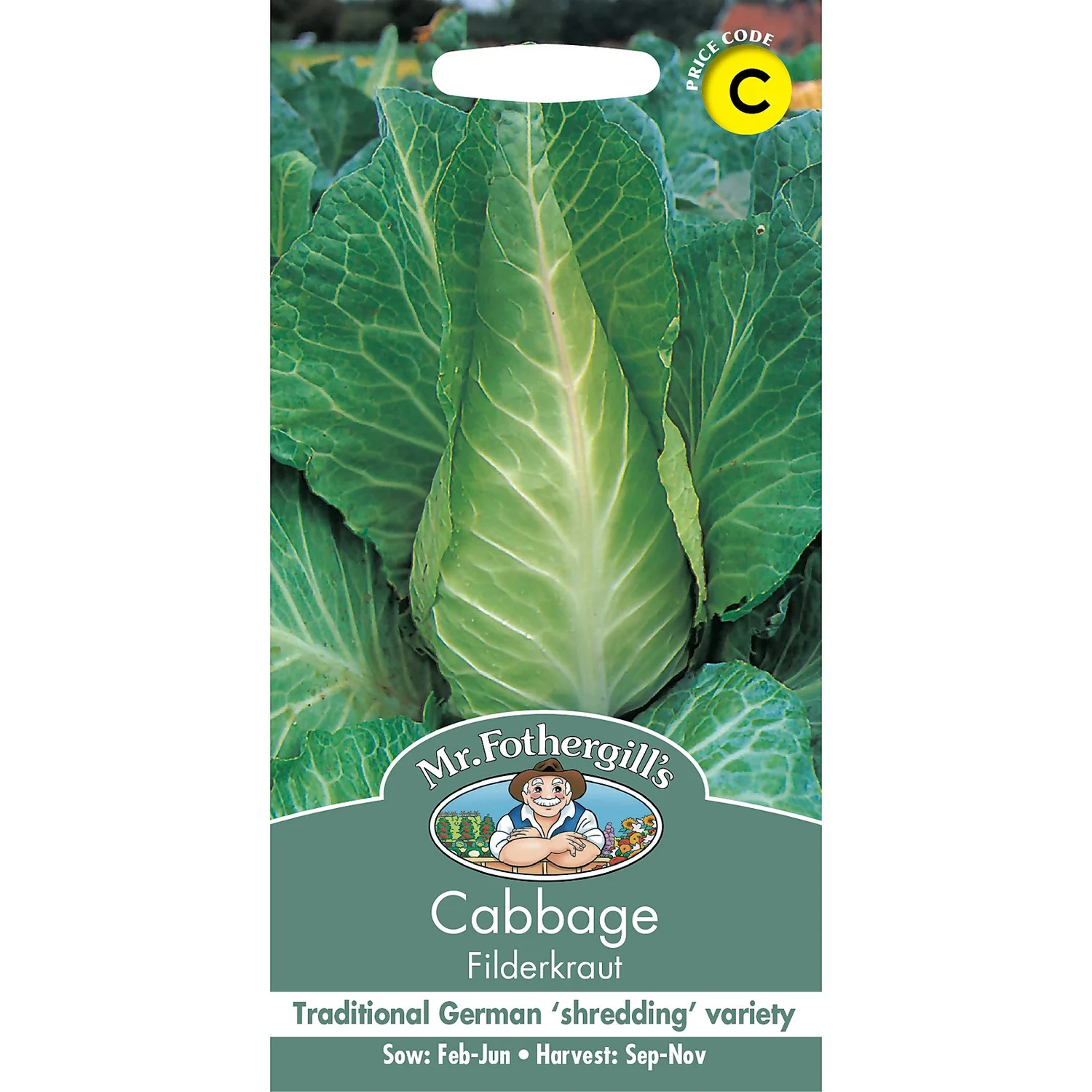 Mr. Fothergill's Cabbage Filderkraut Seeds 3 Mr. Fothergill's Cabbage Filderkraut Seeds