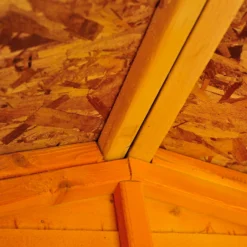 Shire 12 X 6ft Shed Overlap Double Door 14 Shire 12 X 6ft Shed Overlap Double Door -Elise Bloom 13082798 9014862497296033