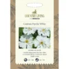 Country Living Cosmos Psyche White Seeds 2 Country Living Cosmos Psyche White Seeds -Elise Bloom 13118196 1804888659554541