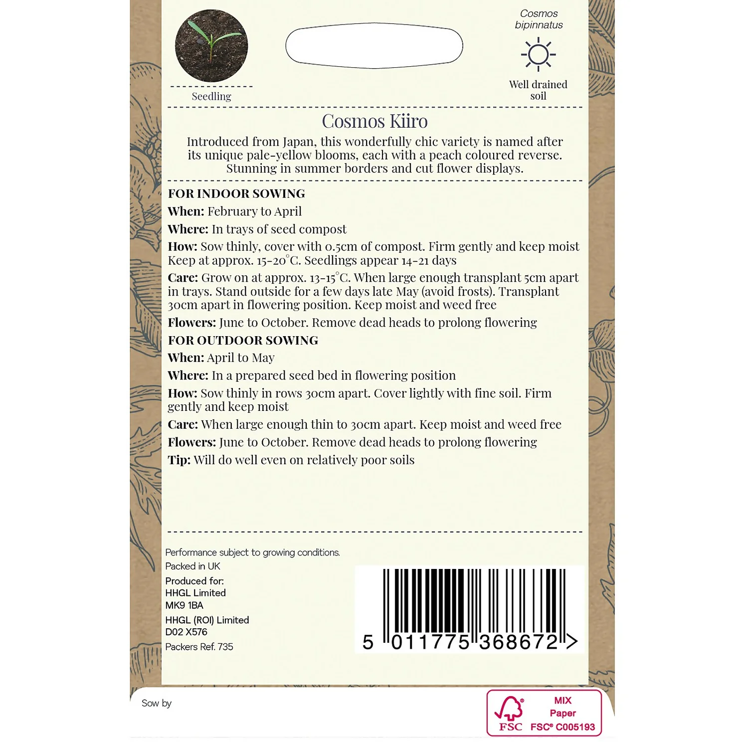 Country Living Cosmos Kiiro Seeds 4 Country Living Cosmos Kiiro Seeds - Image 2