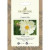 Country Living Cosmos Kiiro Seeds 2 Country Living Cosmos Kiiro Seeds -Elise Bloom 13118197 4544888659731370