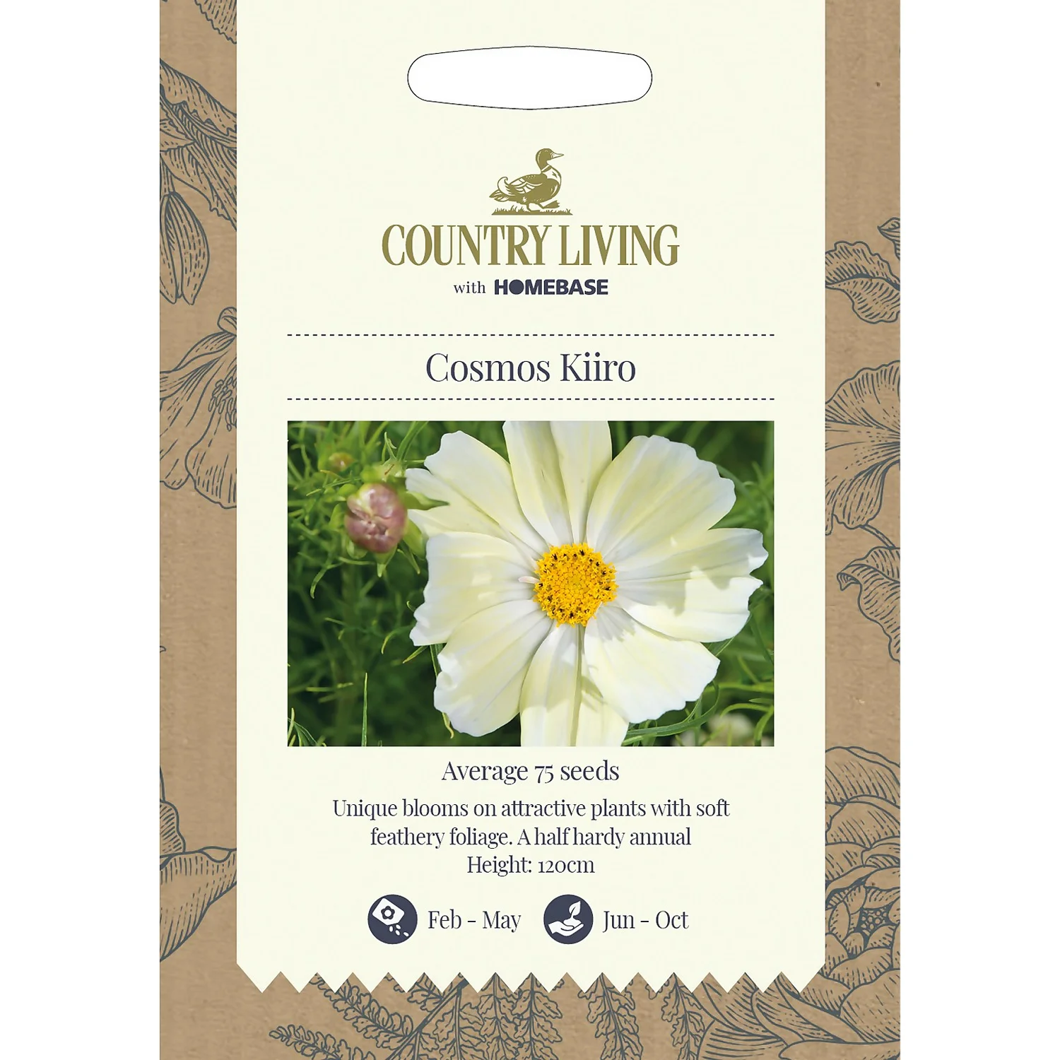 Country Living Cosmos Kiiro Seeds 3 Country Living Cosmos Kiiro Seeds