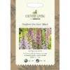 Country Living Foxglove Excelsior Mixed Seeds -Elise Bloom 13118199 3544888661096160