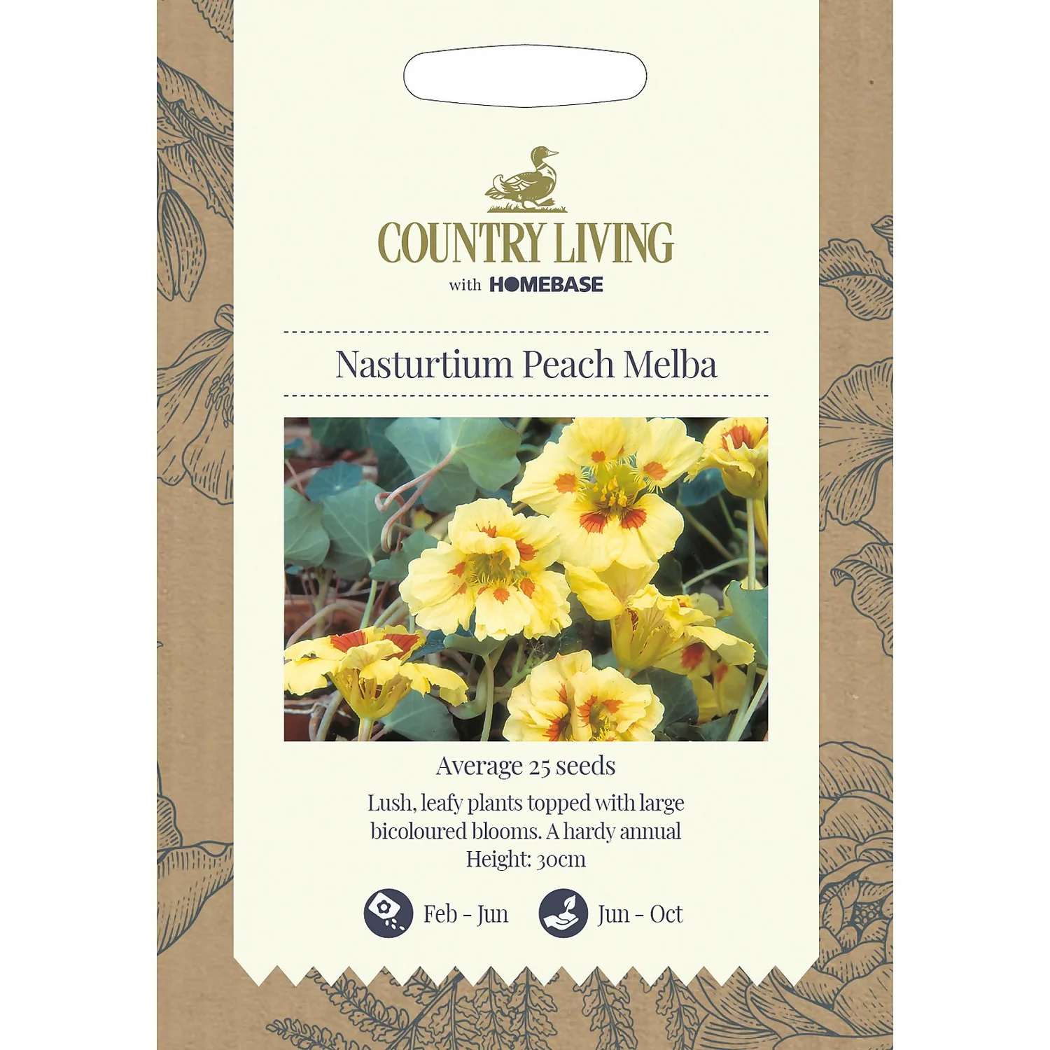 Country Living Nasturtium Peach Melba Seeds 3 Country Living Nasturtium Peach Melba Seeds