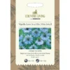 Country Living Nigella Love In A Mist Miss Jekyll Seeds 1 Country Living Nigella Love In A Mist Miss Jekyll Seeds -Elise Bloom 13118201 8054888662179421