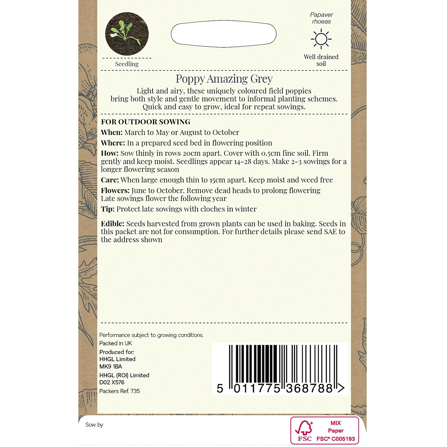 Country Living Poppy Amazing Grey Seeds 4 Country Living Poppy Amazing Grey Seeds - Image 2