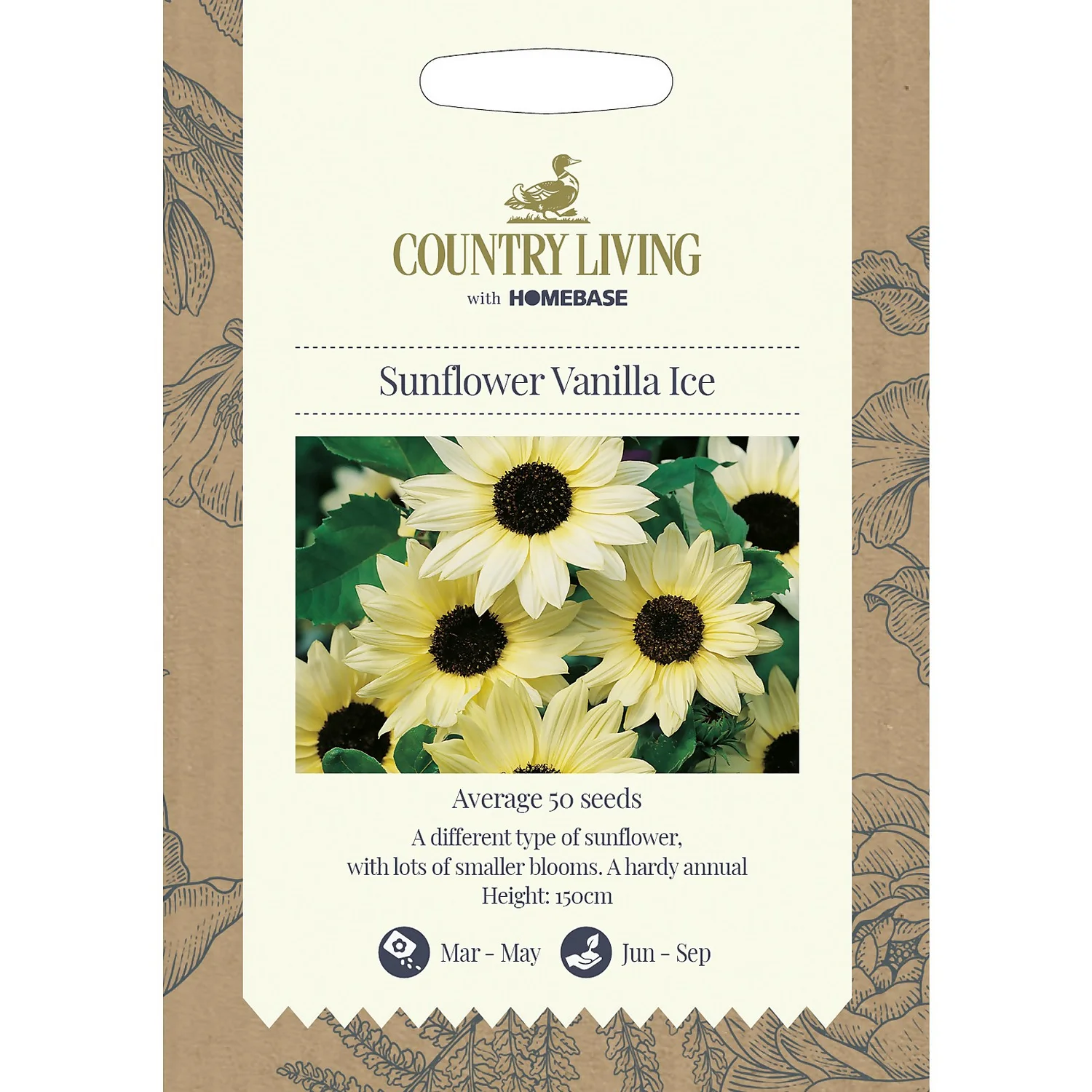 Country Living Sunflower Vanilla Ice Seeds 3 Country Living Sunflower Vanilla Ice Seeds