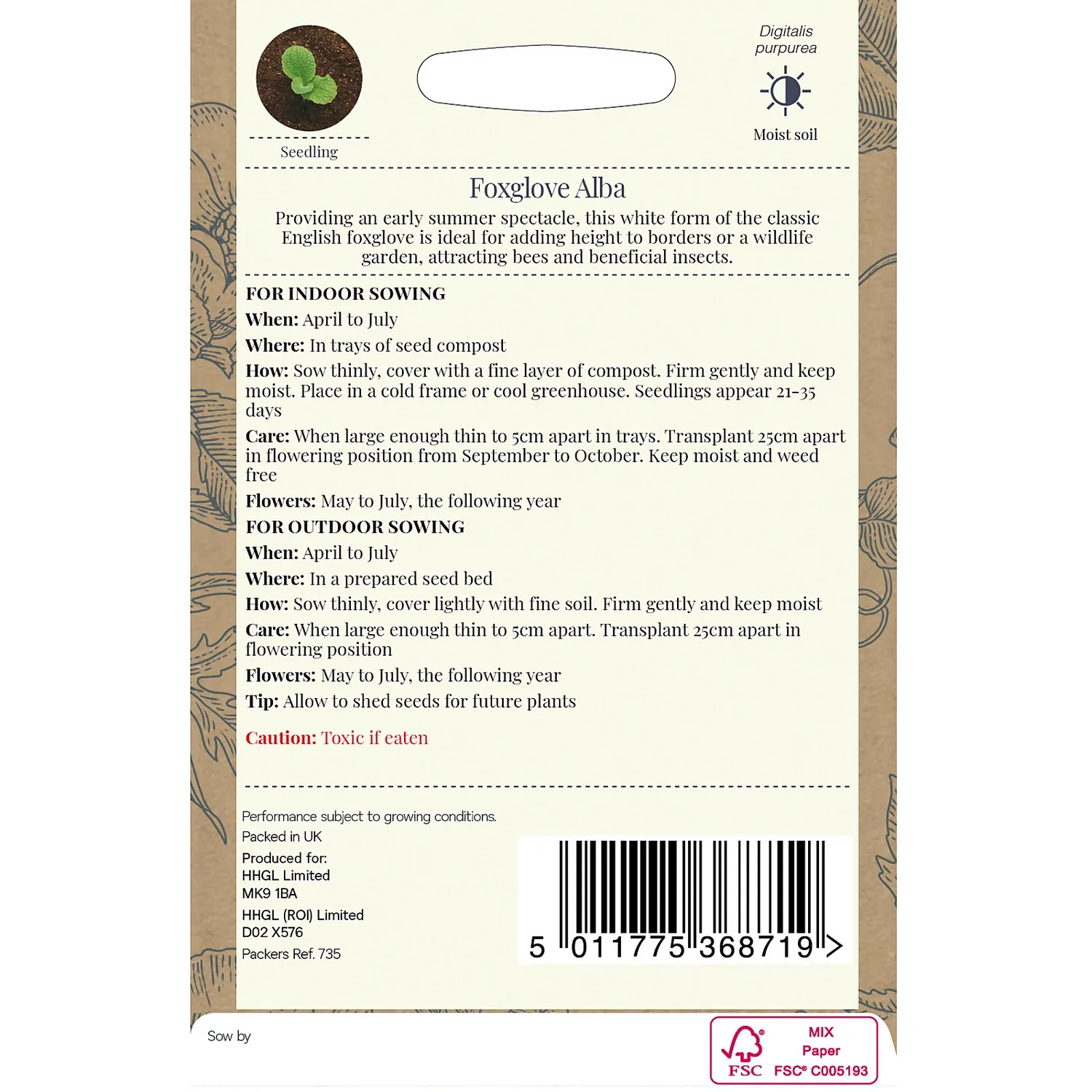 Country Living Foxglove Alba Seeds 4 Country Living Foxglove Alba Seeds - Image 2