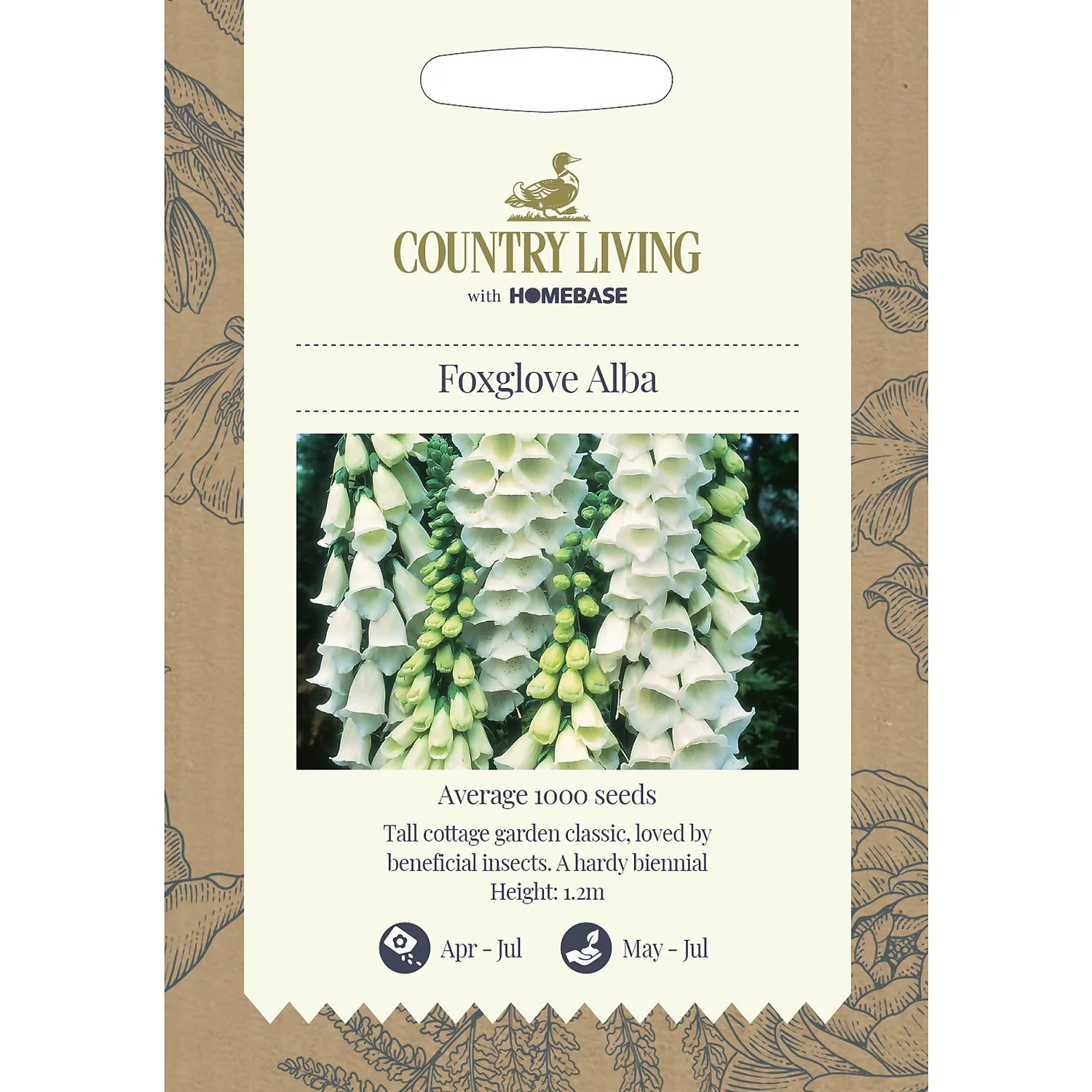 Country Living Foxglove Alba Seeds 3 Country Living Foxglove Alba Seeds