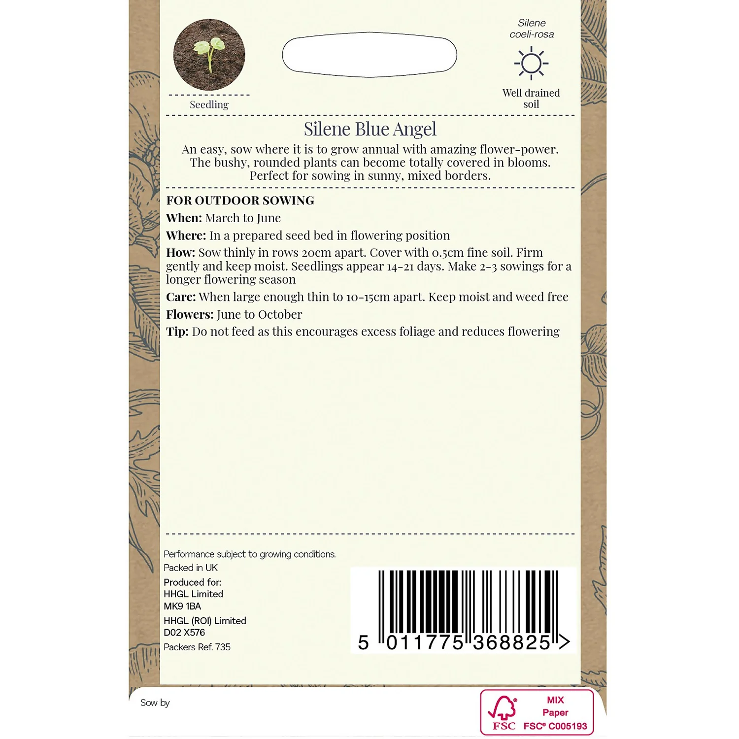 Country Living Silene Blue Angel Seeds 4 Country Living Silene Blue Angel Seeds - Image 2