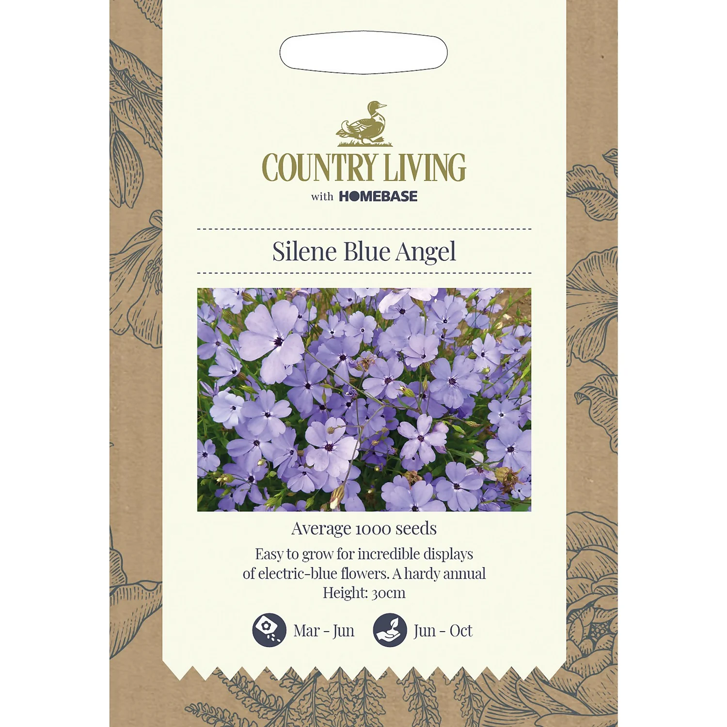 Country Living Silene Blue Angel Seeds 3 Country Living Silene Blue Angel Seeds