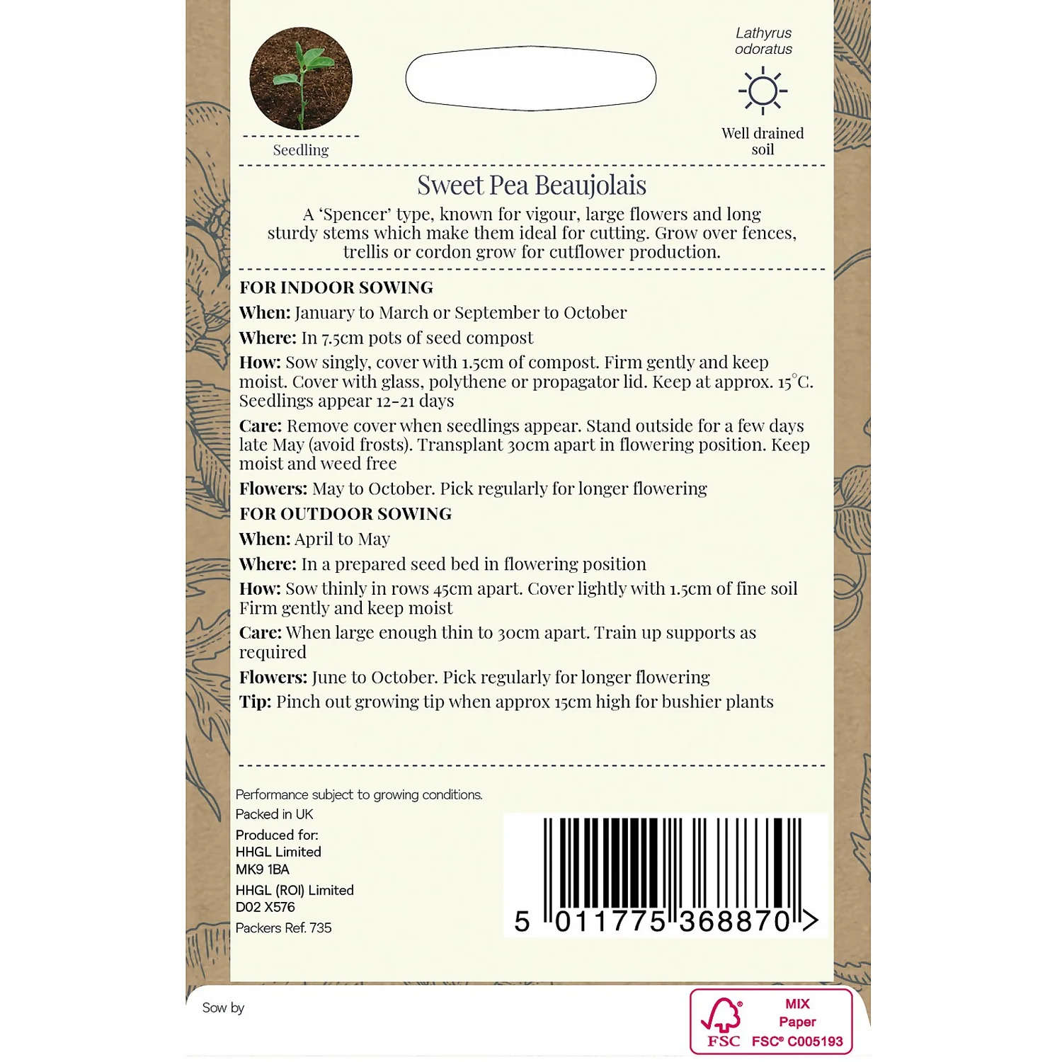 Country Living Sweet Pea Beaujolais Seeds 4 Country Living Sweet Pea Beaujolais Seeds - Image 2