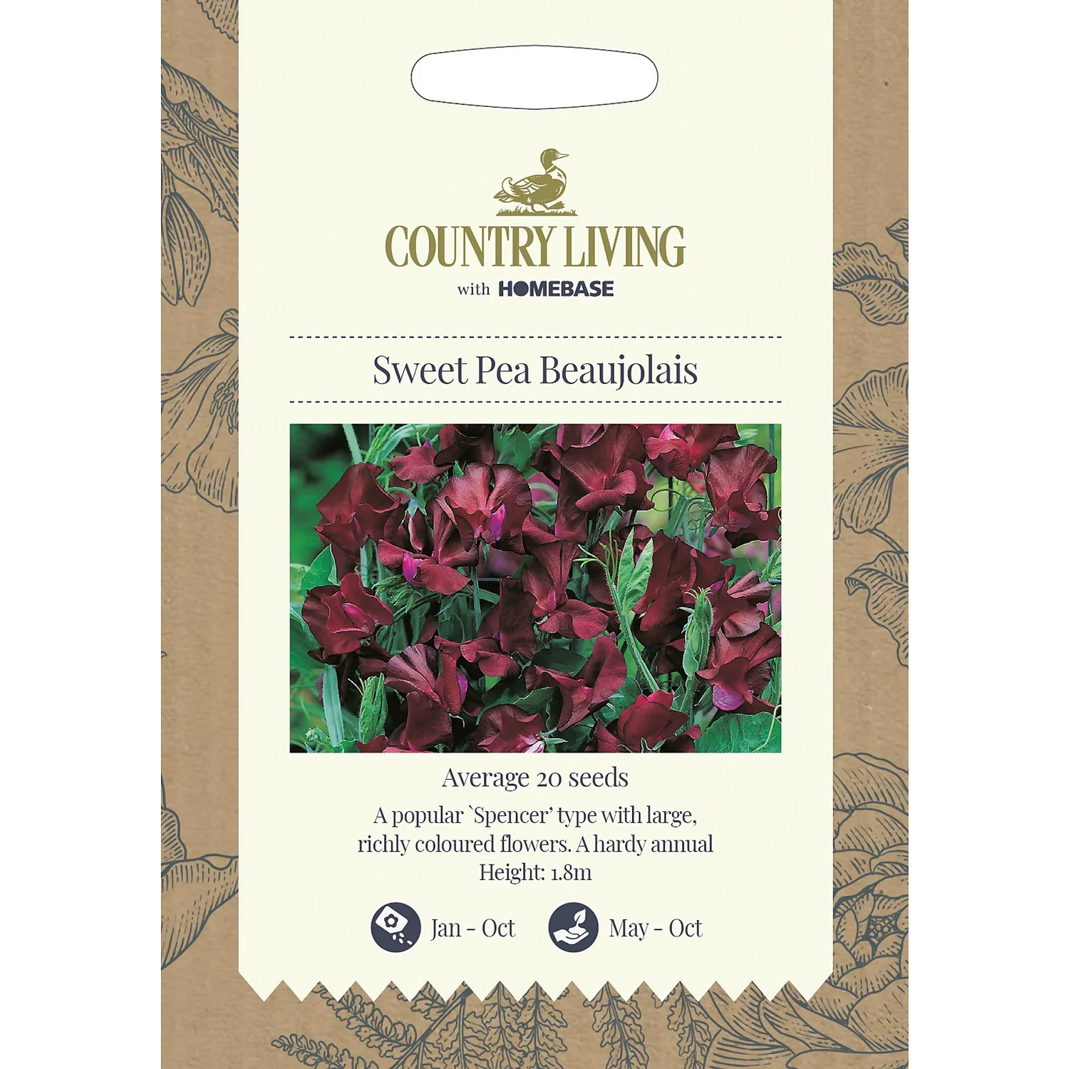 Country Living Sweet Pea Beaujolais Seeds 3 Country Living Sweet Pea Beaujolais Seeds