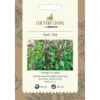 Country Living Basil Thai Seeds -Elise Bloom 13118214 2044888664877570