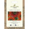 Country Living Sunflower Velvet Queen Seeds -Elise Bloom 13118216 1044888663894827