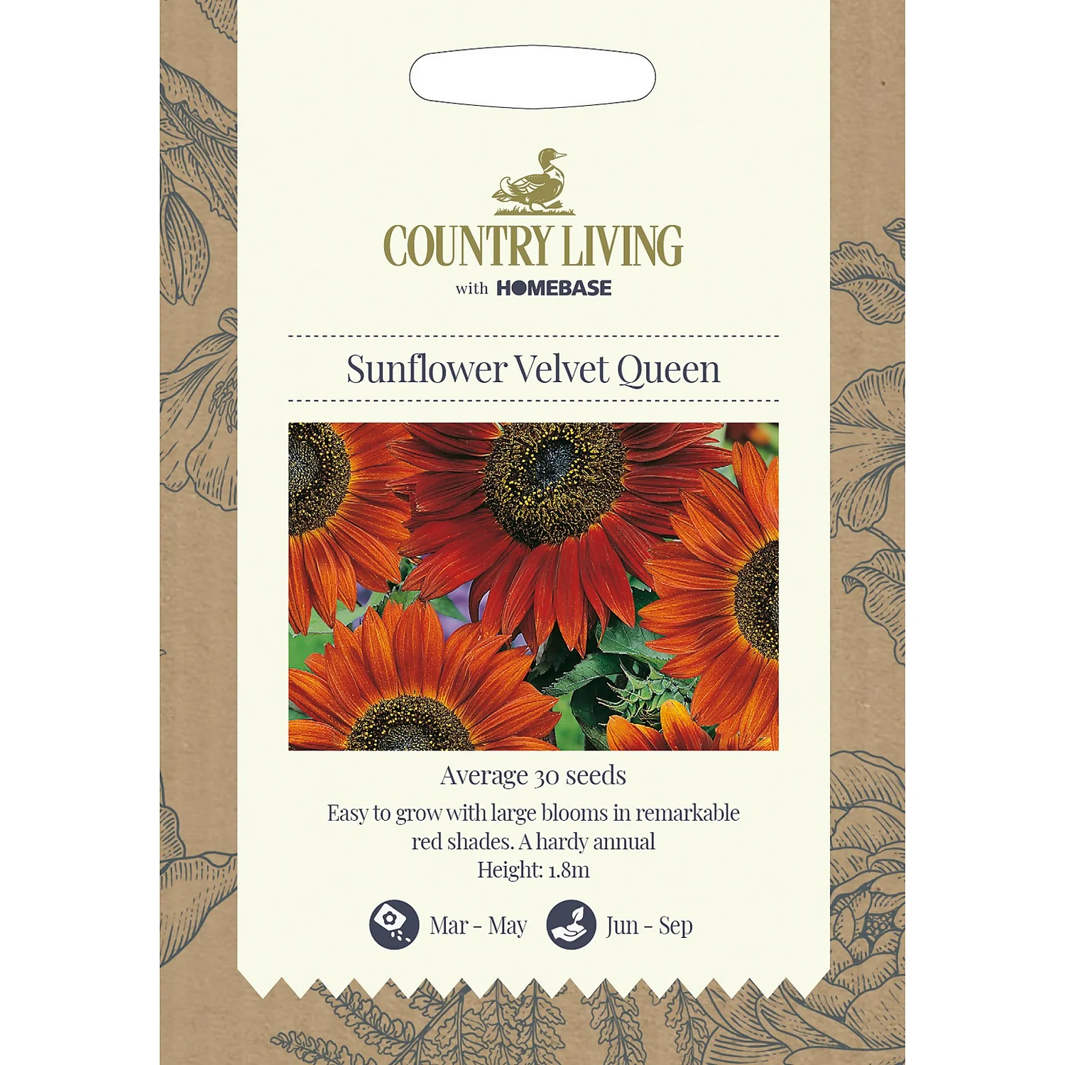 Country Living Sunflower Velvet Queen Seeds 3 Country Living Sunflower Velvet Queen Seeds