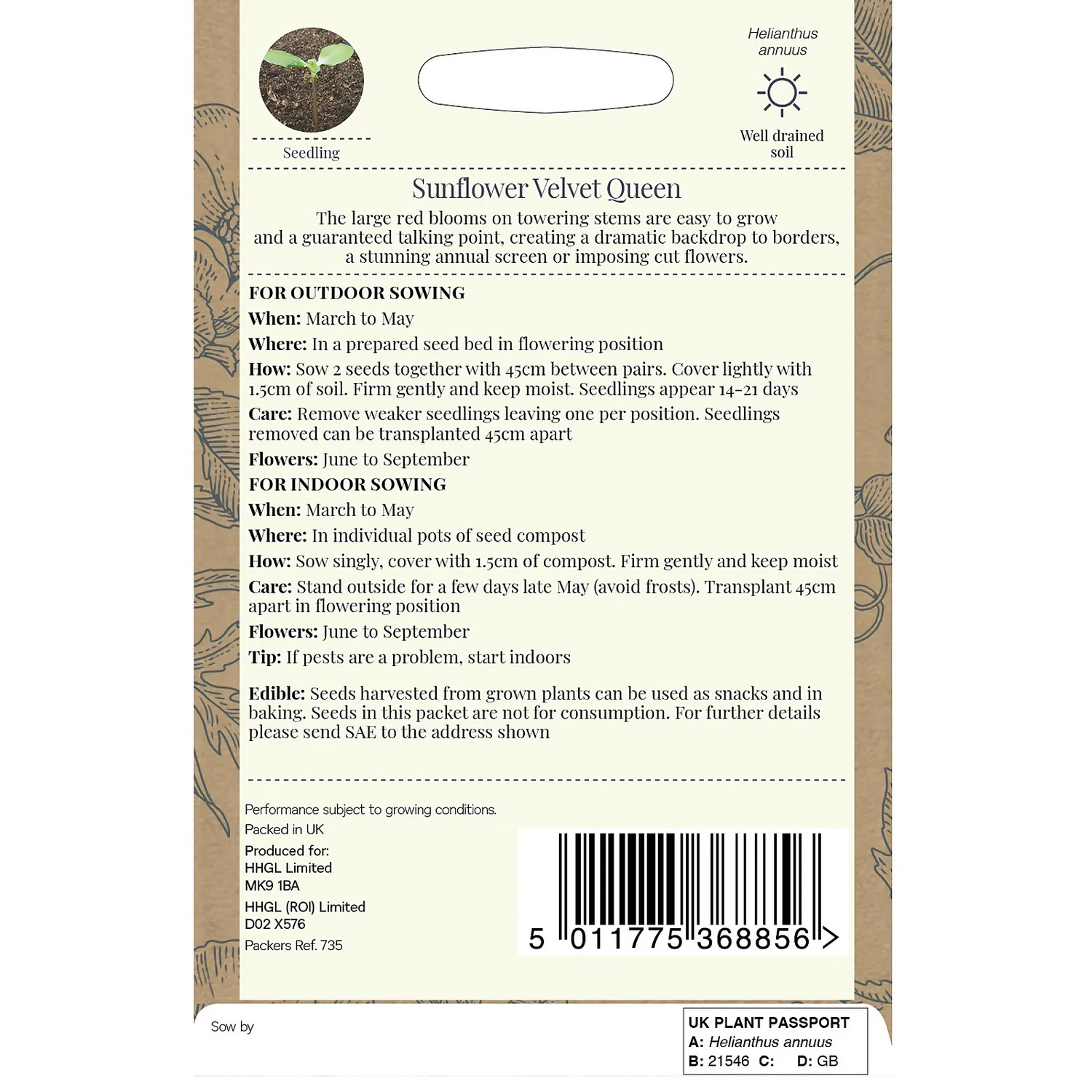 Country Living Sunflower Velvet Queen Seeds 4 Country Living Sunflower Velvet Queen Seeds - Image 2