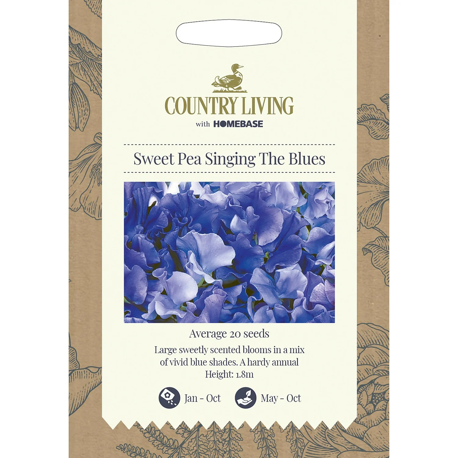 Country Living Sweet Pea Singing The Blues Seeds 3 Country Living Sweet Pea Singing The Blues Seeds