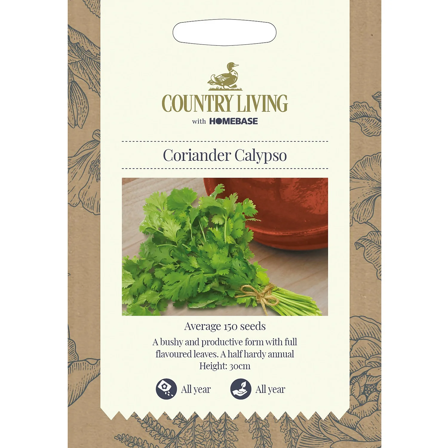 Country Living Coriander Calypso Seeds 3 Country Living Coriander Calypso Seeds