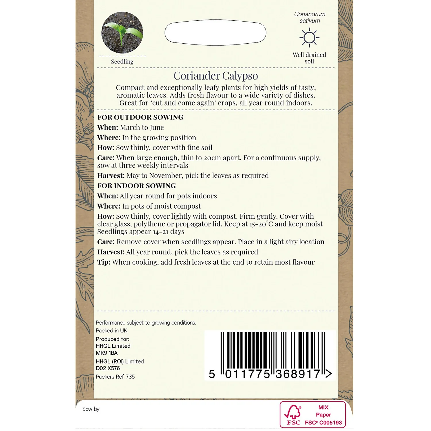 Country Living Coriander Calypso Seeds 4 Country Living Coriander Calypso Seeds - Image 2