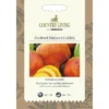 Country Living Beetroot Burpees Golden Seeds -Elise Bloom 13118221 6784888665991314